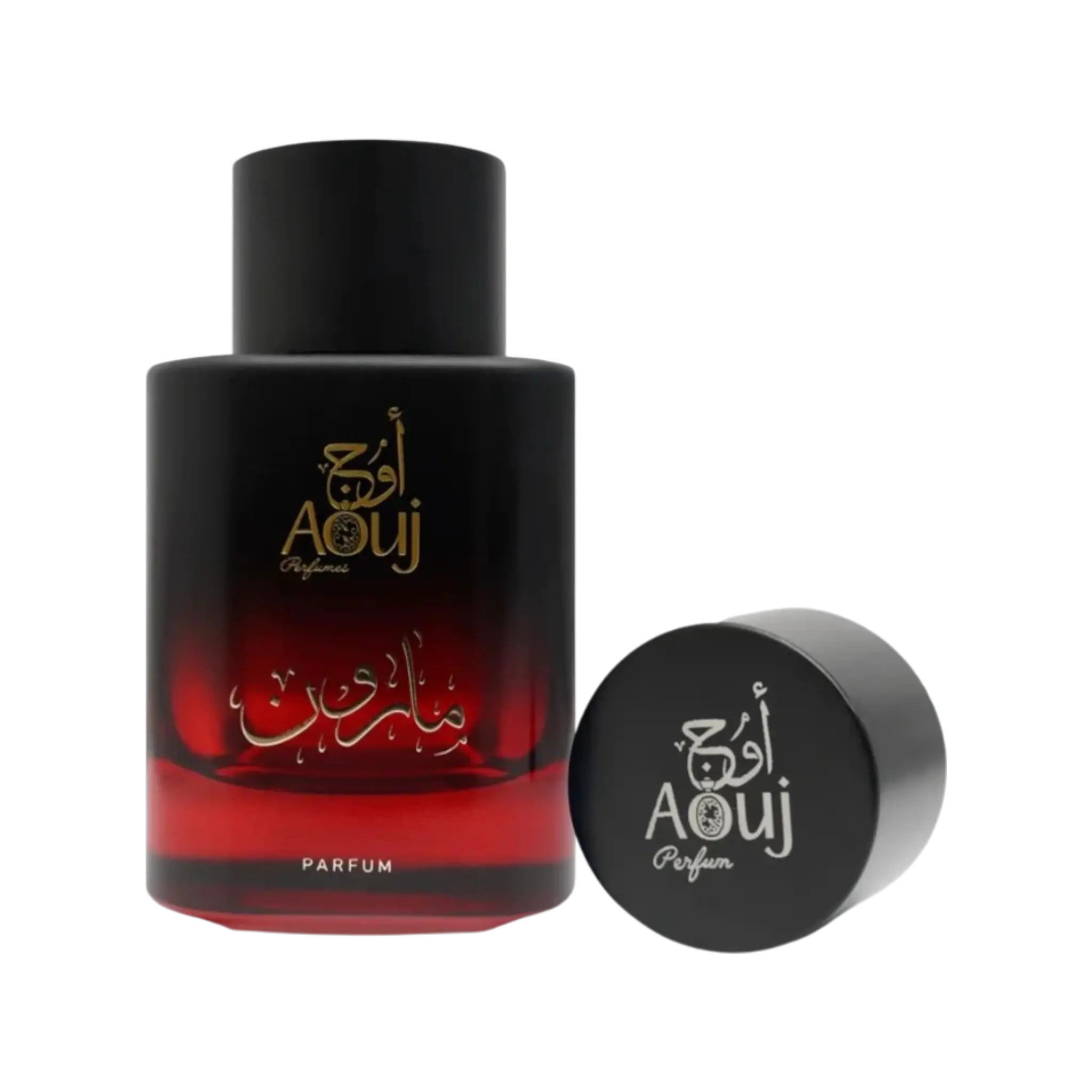 aouj maroon eau de parfum 100ml kopen