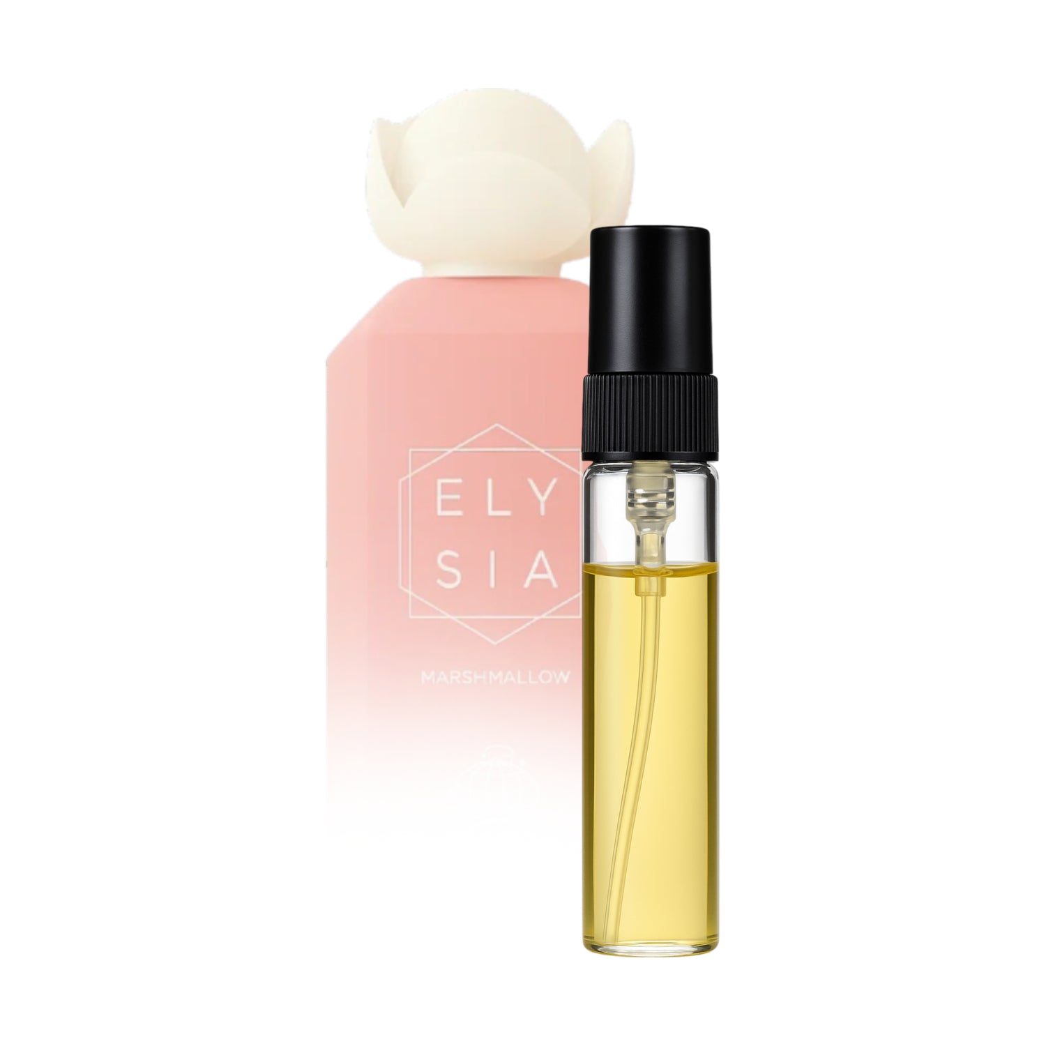 Fragrance World – Sample Service 2/5/10ML