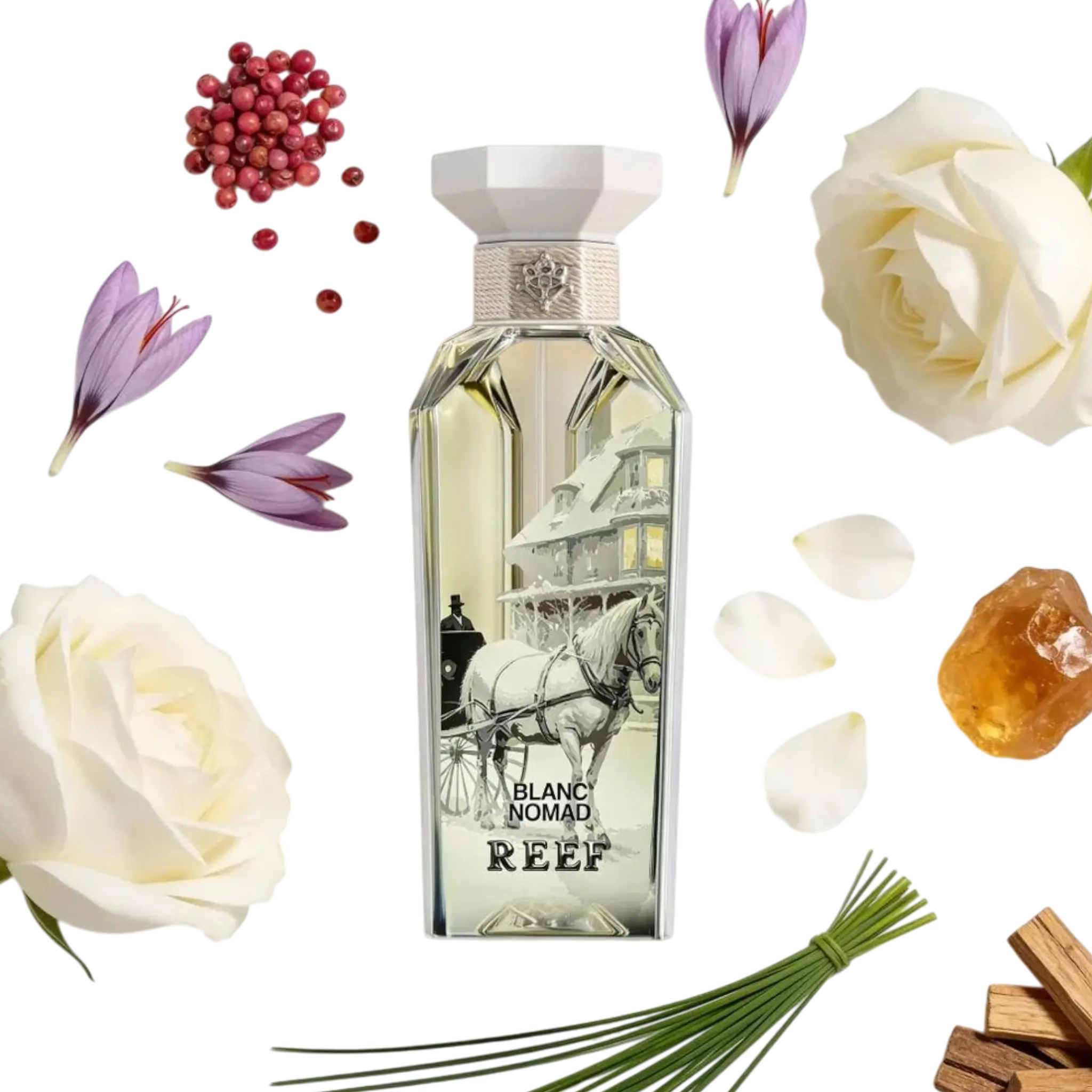 reef blanc parfum bestellen